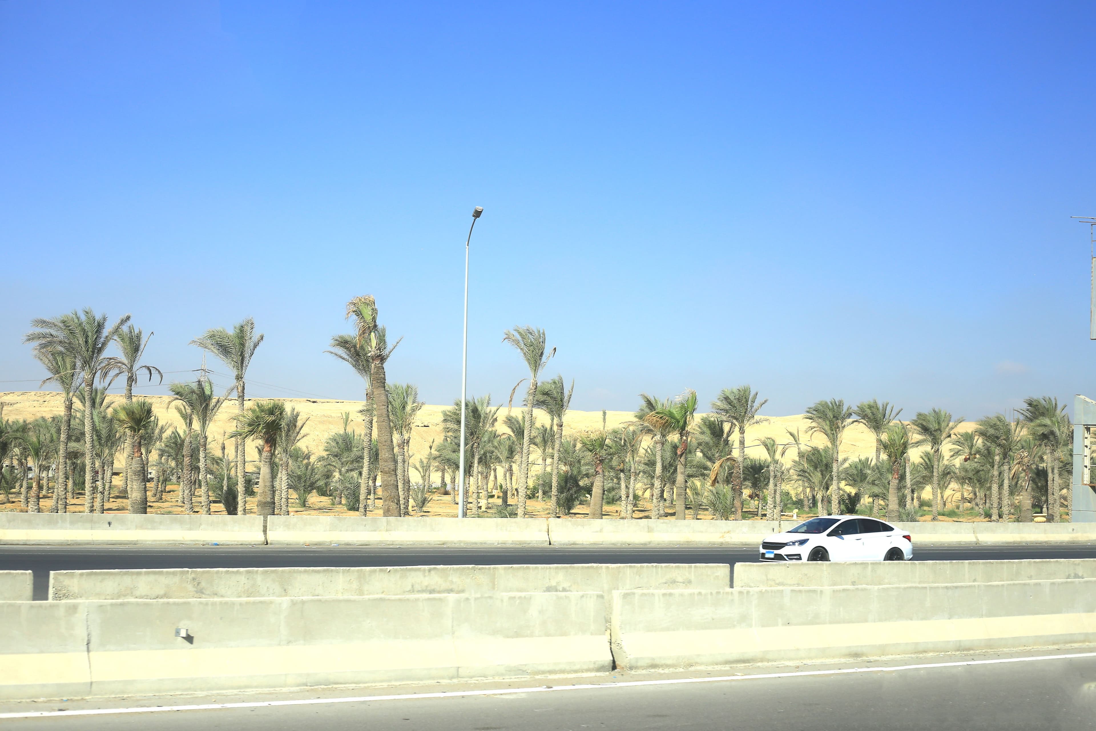 LiWAVE solution in Oman