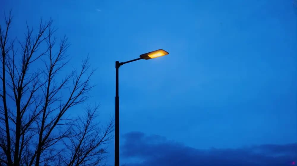 cost of the street luminaire cost of the street luminaire